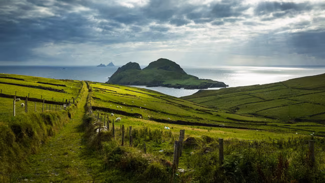 Blick auf die Puffin Island in der Grafschaft Kerry mit grünen Wiesen, Irland