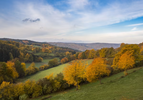 Nrw Herbst Landschaft