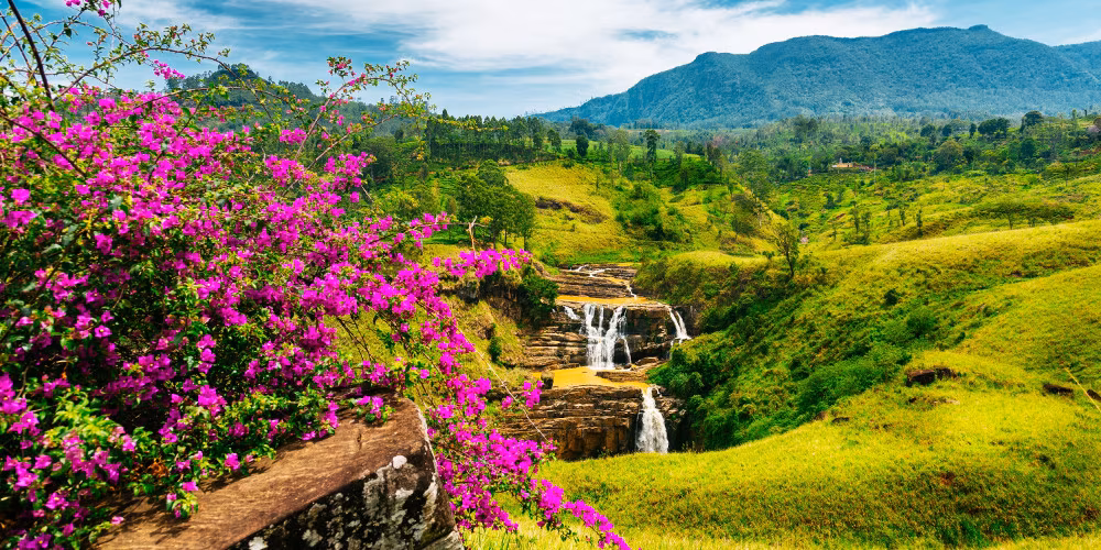 Sri Lanka
