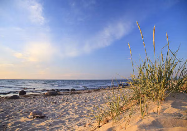 Ostsee Düne