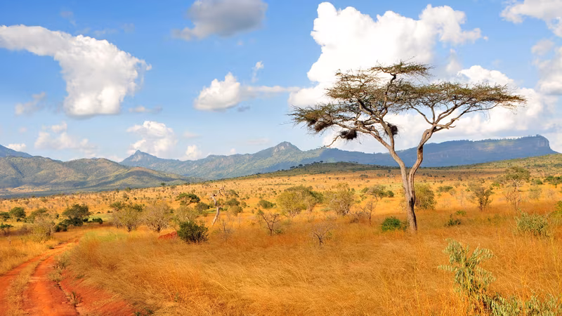 Rundreisen Afrika