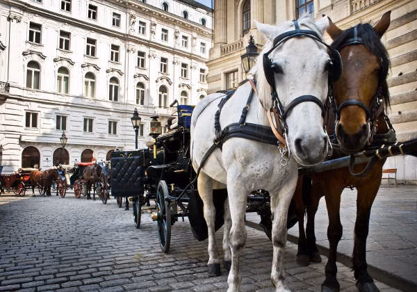 Wien Kutsche Fiaker