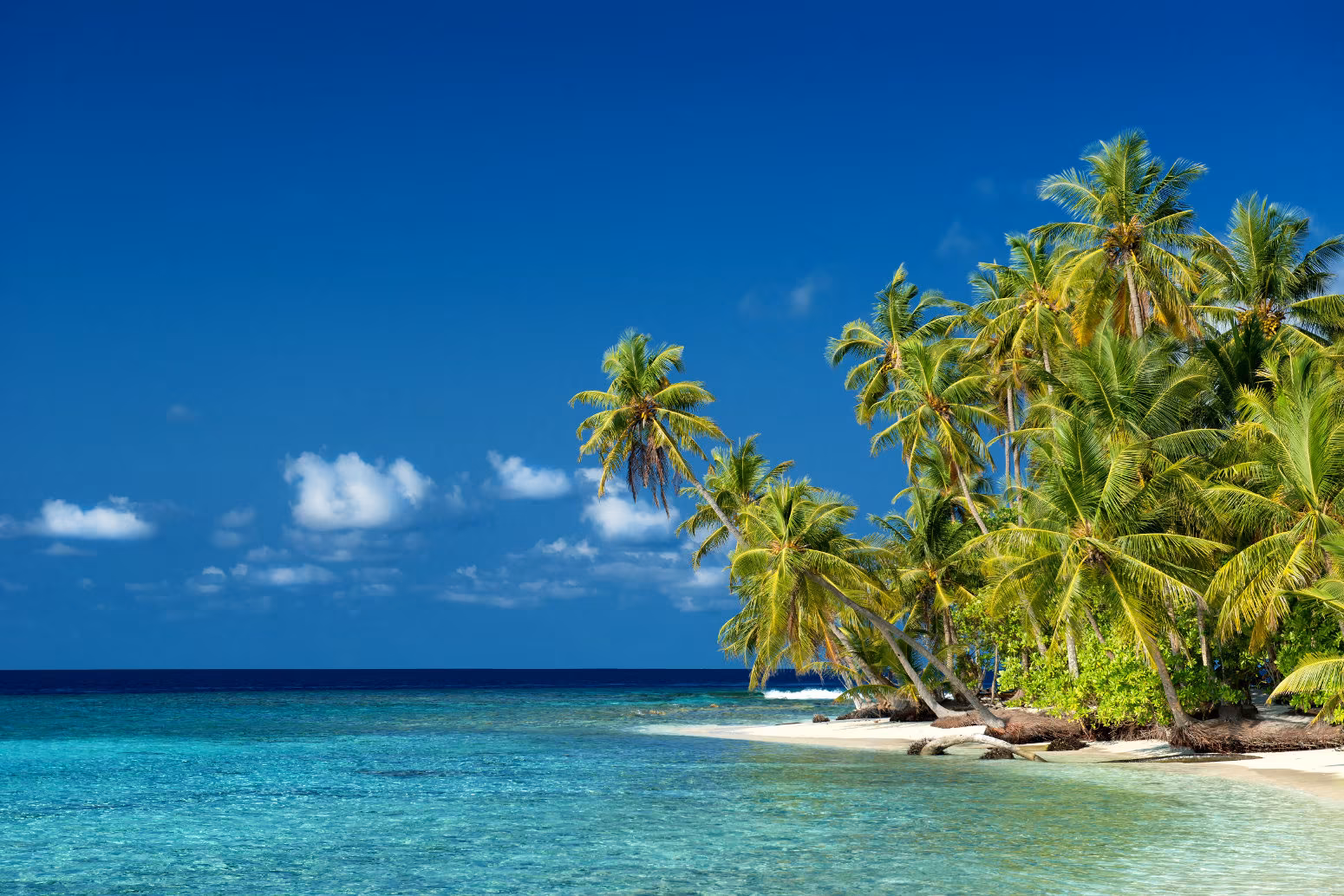 Karibik Bahamas