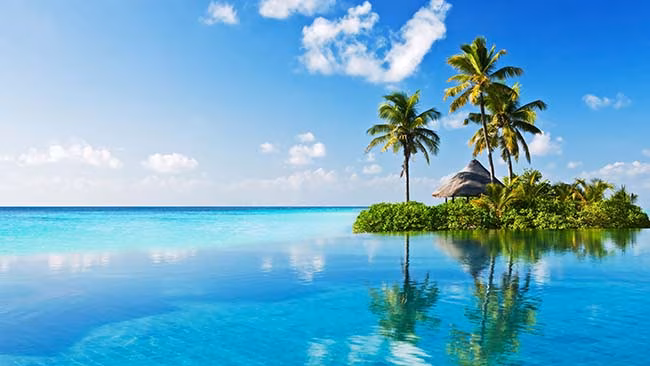 Traumstrand, Insel mit Palmen
