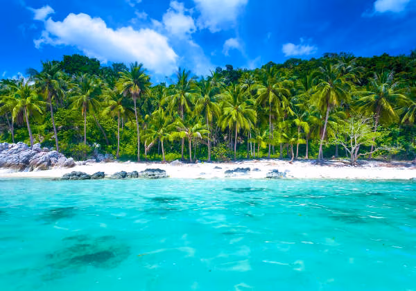 Strand mit Meer und Palmenwald auf Koh Samui Koh Samui Strand Meer Wald