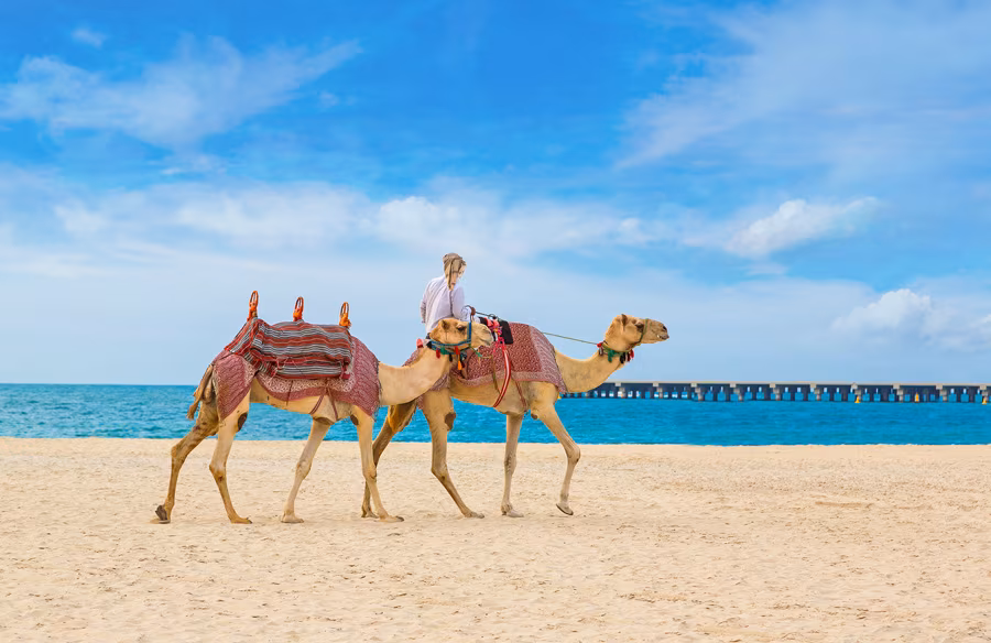 VAE Ras Al Khaimah Strandurlaub Badeurlaub