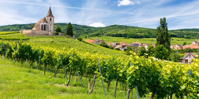 Elsass