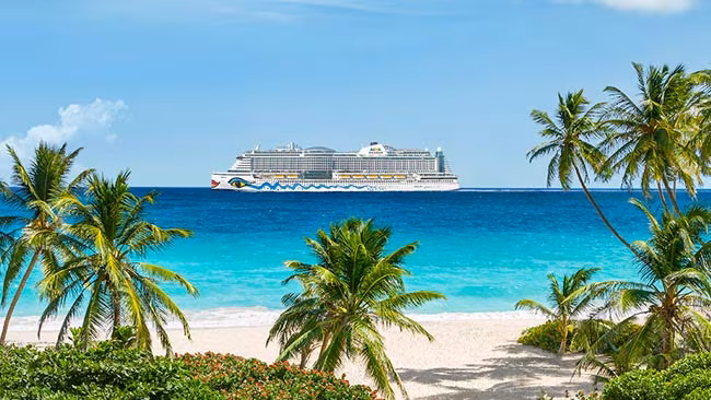 Kreuzfahrtschiff AIDA Perla im Meer in der Karibik, Karibischer Strand mit Palmen