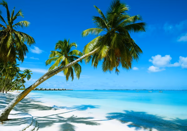 Mauritius