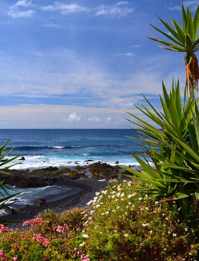 Beste Reisezeit auf Teneriffa