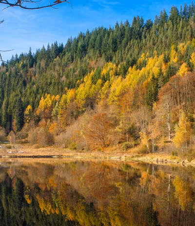 Baiersbronn im Schwarzwald