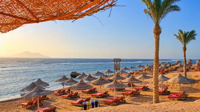 Ägypten, Standabschnitt mit Palmen und Liegen am Roten Meer