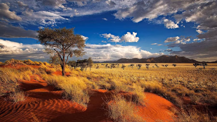 Namibia Afrika Safari