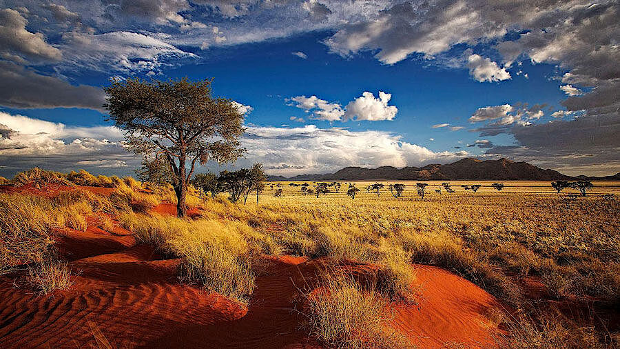 Namibia Afrika Safari