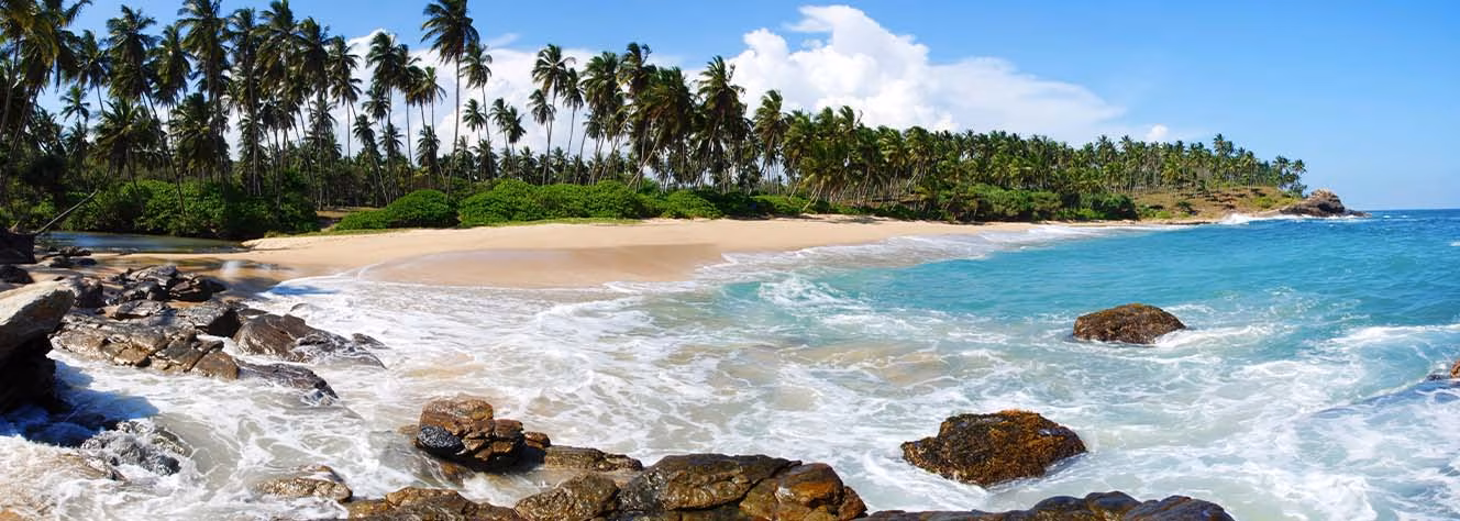 Asien Strand Palmen Felsen