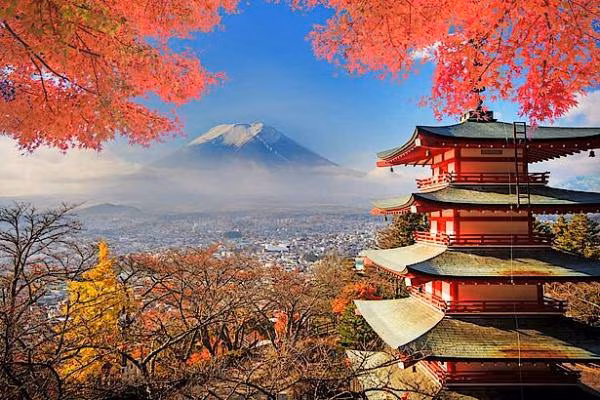 Japan Tempel Bäume