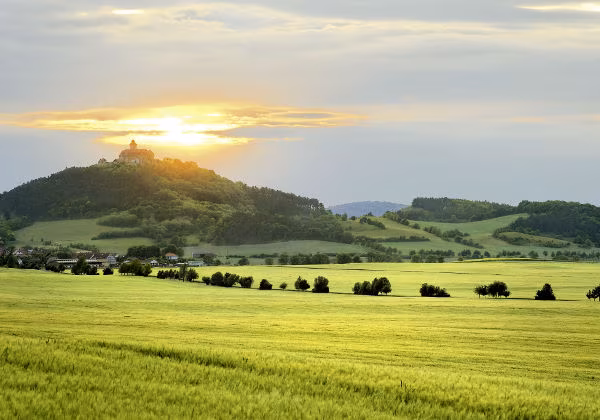 Thüringen Wiese