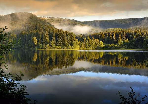 Schwarzwald