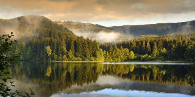 Bayerischer Wald