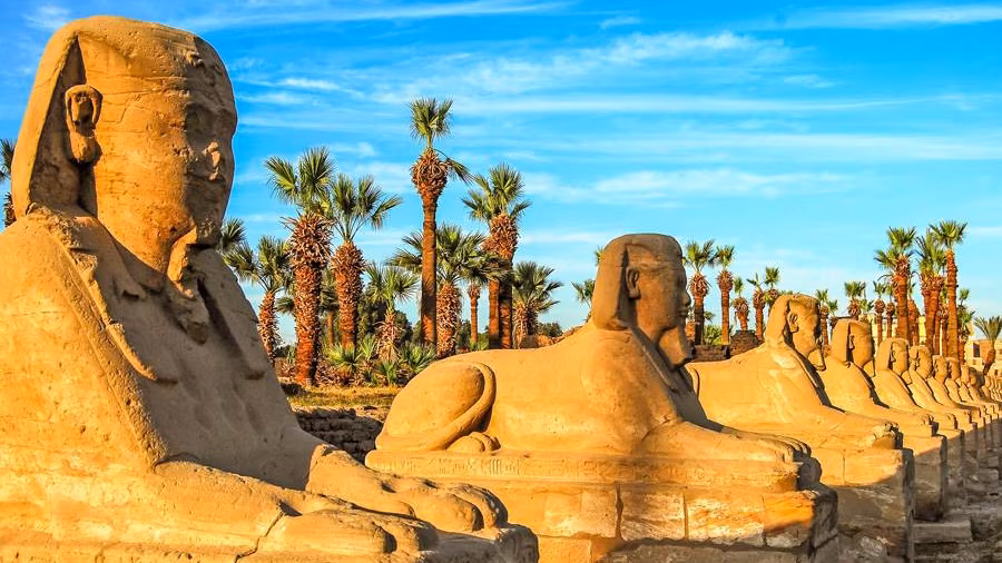 Ägypten Sphinx Allee Luxor