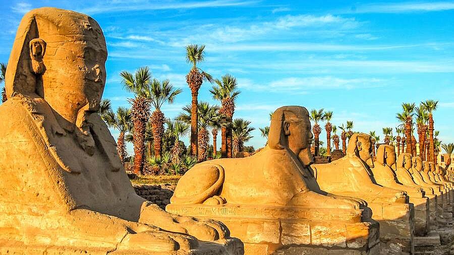Ägypten Sphinx Allee Luxor