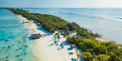 Malediven Strand Bäume