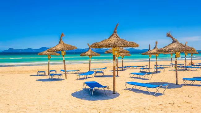 Spanien - Mallorca, Alcudia Strandabschnitt mit Liegen und Sonnenschirmen