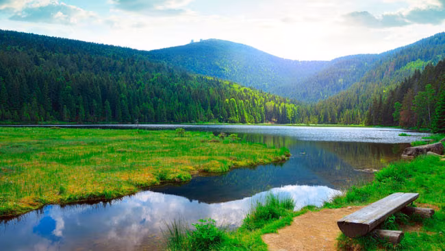 Bayerischer Wald, Kleiner Arbersee, Deutschland