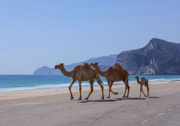 Salalah