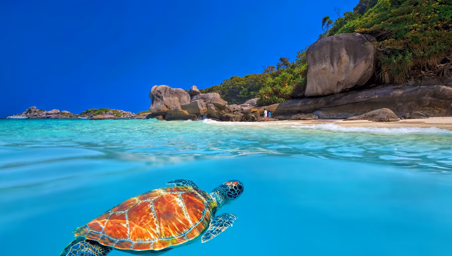Thailand Khao Lak Badeurlaub Tauchurlaub