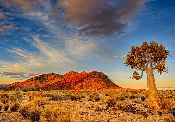 Namibia Wüste