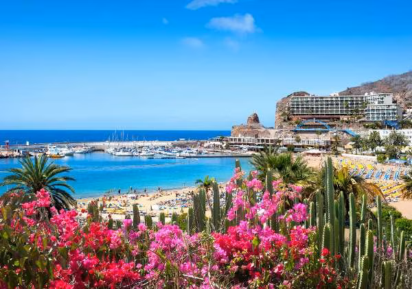 Bucht Gran Canaria mit Blumen