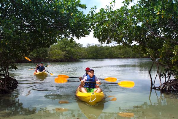 Oleta River State Park, Florida Oleta River State Park Kayak