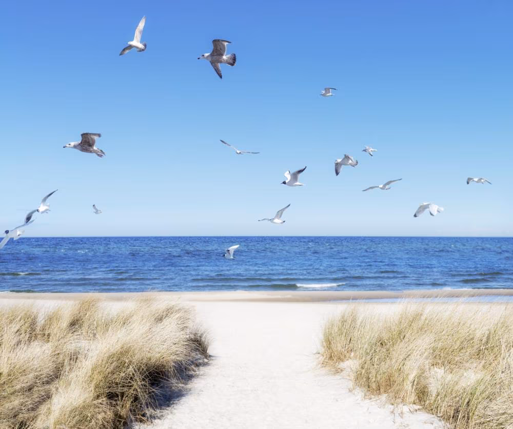 Insel Rügen