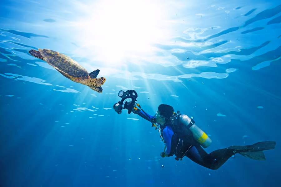 Mauritiust Tauchurlaub Taucen Tauchreisen