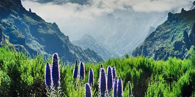 Woche Madeira
