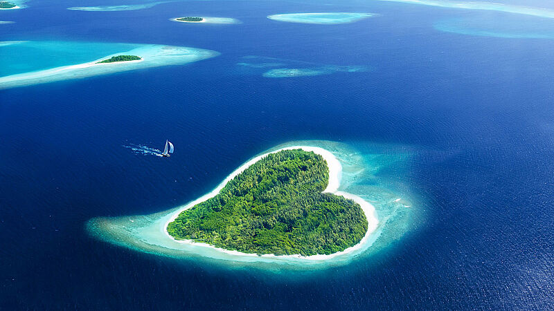 Urlaub mal anders Famlilie Single Safari Insel Hochzeitsreisen