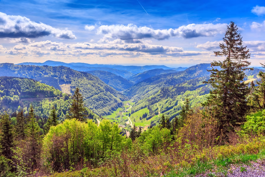 Deutschland Urlaub Schwarzwald