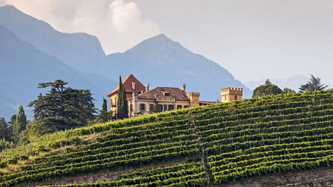 Italien - Südtirol, Blick auf historisches Schloss Rametz in Obermais in den Weinbergen