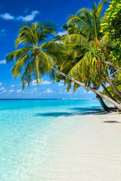 Sommerurlaub mit Anex Tour