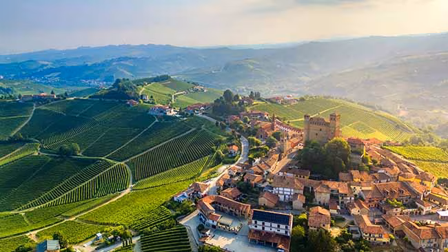 Italien - Toskana, Landschaft mit Weinbergen und Burg