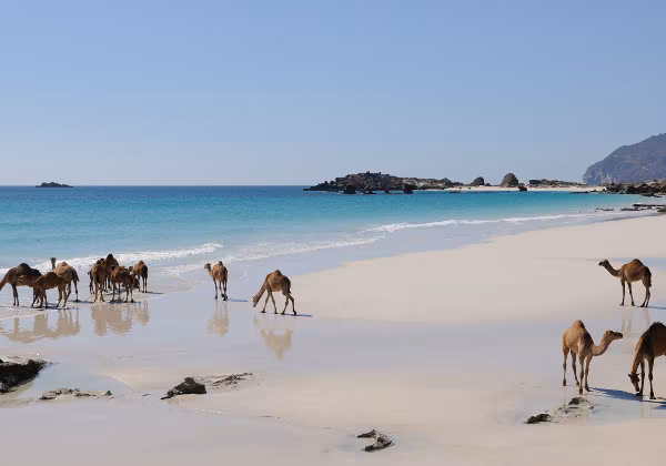 Sharm El Sheik
