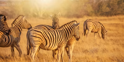 Rundreise Namibia