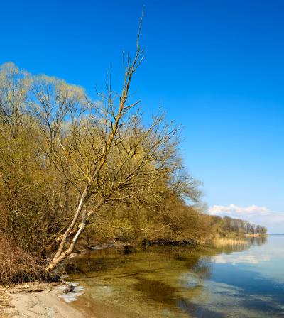 Ufer