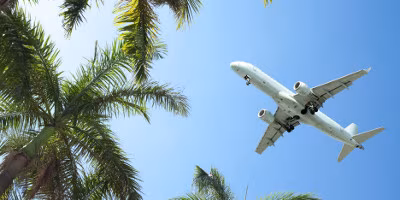 Flugzeug mit Palmen