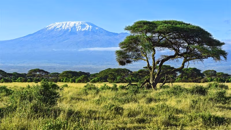 Kilimanjaro