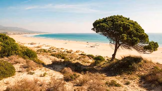 Spanien Costa De La Luz, Bucht mit Langem Sandstrand