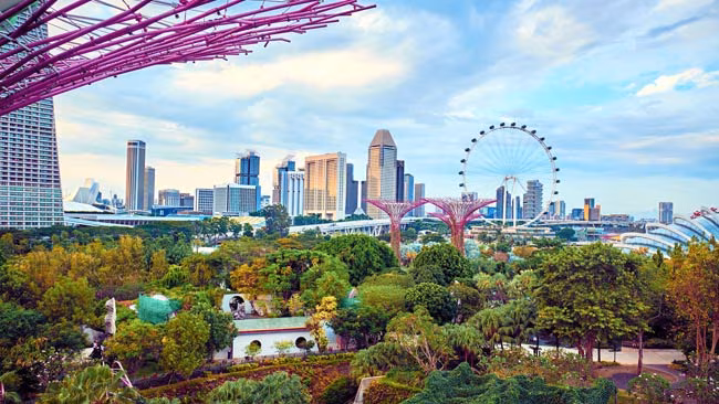Supertree Groves im Gardens By The Bay, Singapur