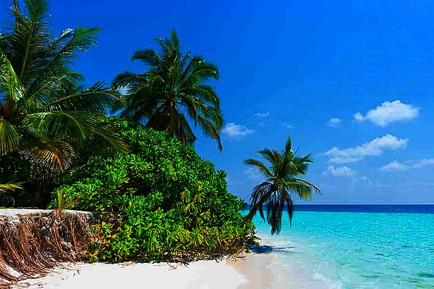 Strand mit Palmen, Sonne und Meer