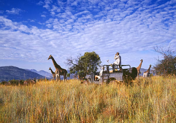 Safari Afrika